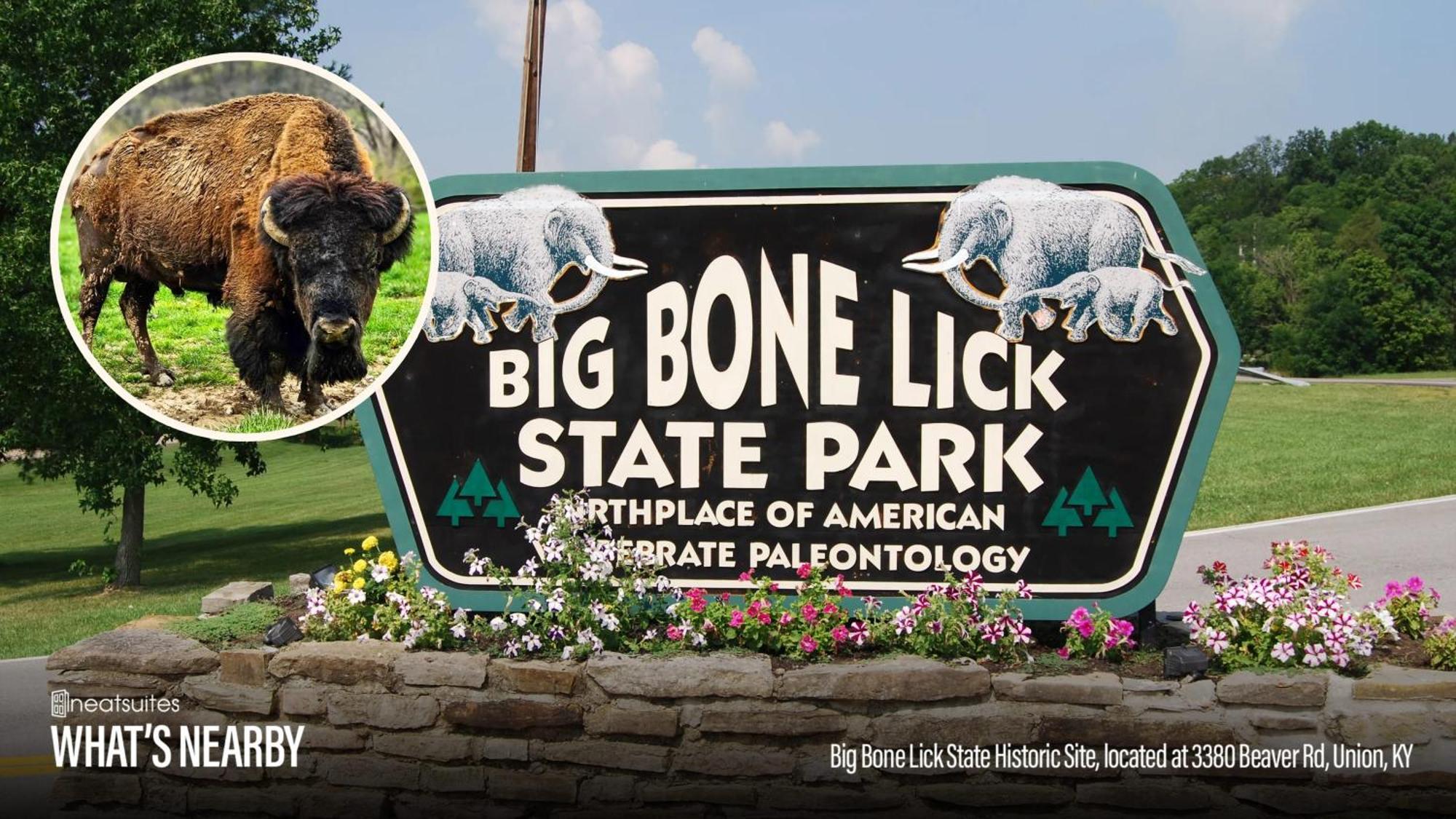 The Lodges At Eden Reserve - Safari Tents Вільямстаун Екстер'єр фото